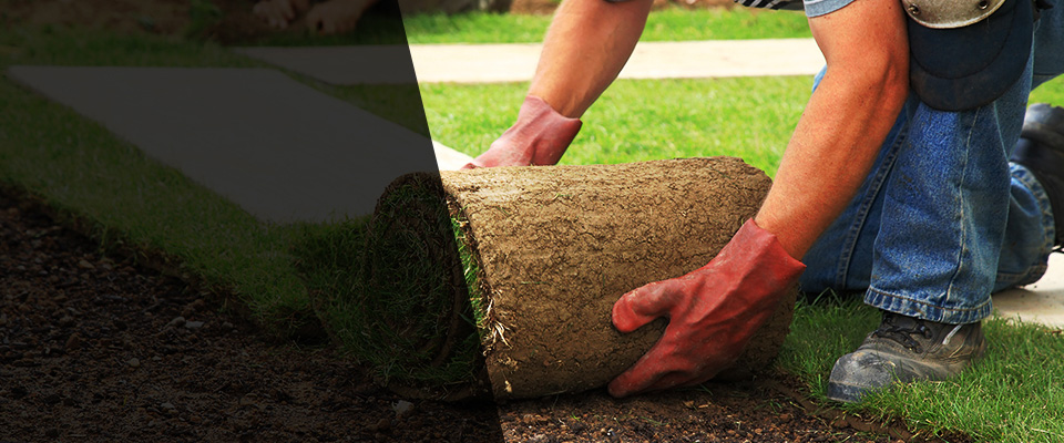 Knapp Landscapers